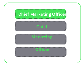 chief marketing officer (cmo)