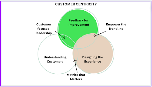 customer centricity