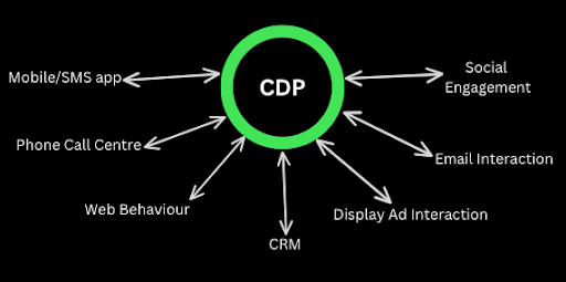 customer data platform cdp