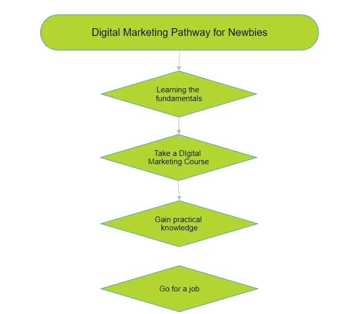 Digital marketing pathways for newbies